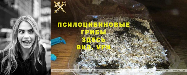 молекула духа Алзамай