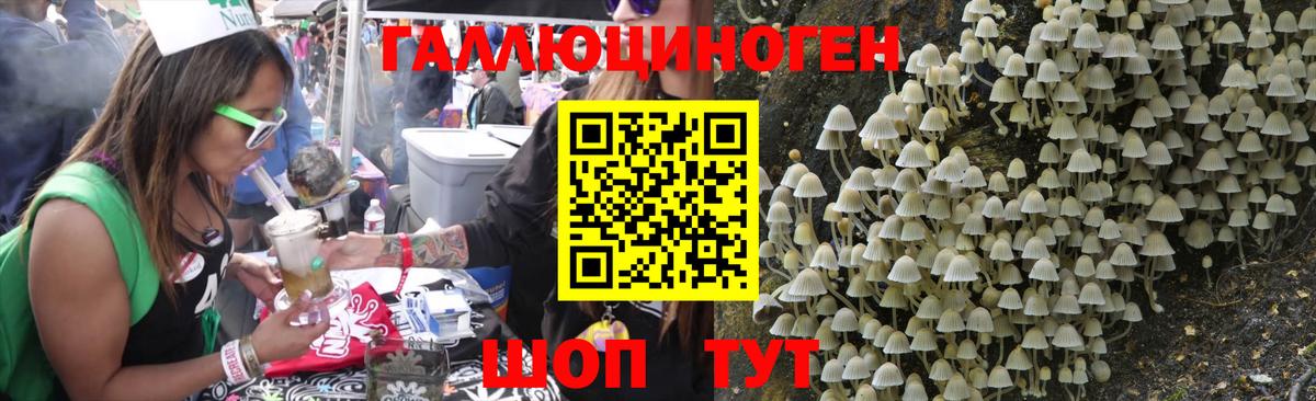 Галлюциногенные грибы прущие грибы Родники