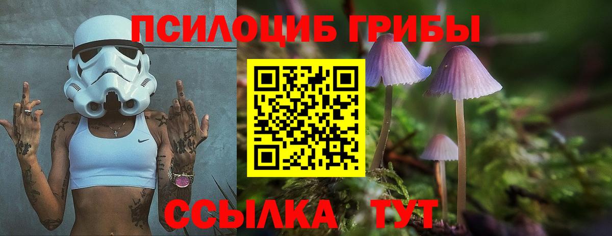 Родники  Галлюциногенные грибы Psilocybine cubensis  Вход с VPN 